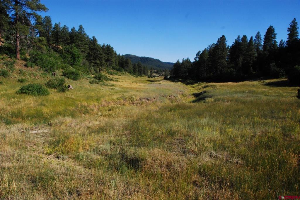 X Us Hwy 84 #114 Pagosa Springs CO 81147