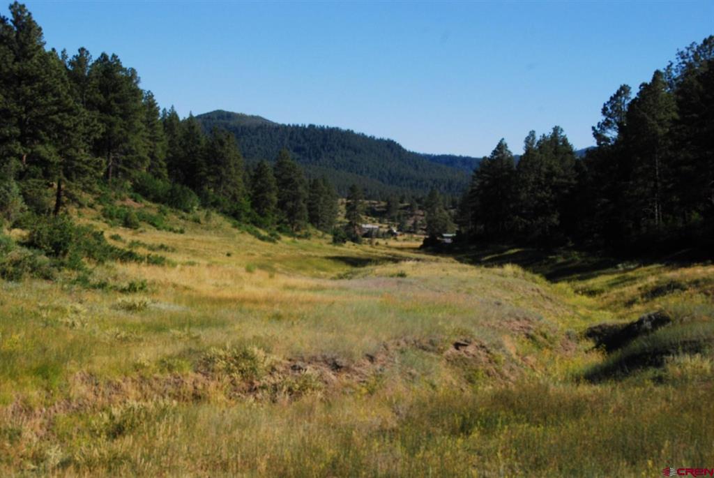 X Us Hwy 84 #114 Pagosa Springs CO 81147