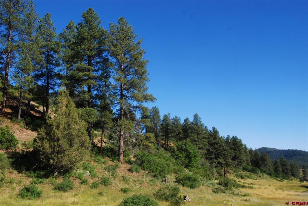 X Us Hwy 84 #114 Pagosa Springs CO 81147