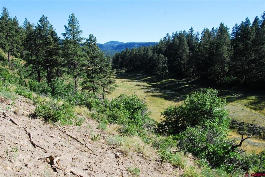 X Us Hwy 84 #114 Pagosa Springs CO 81147