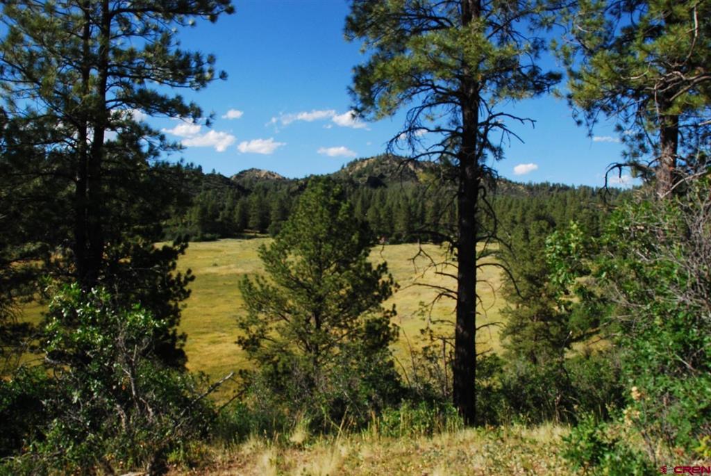 X Us Hwy 84 #114 Pagosa Springs CO 81147