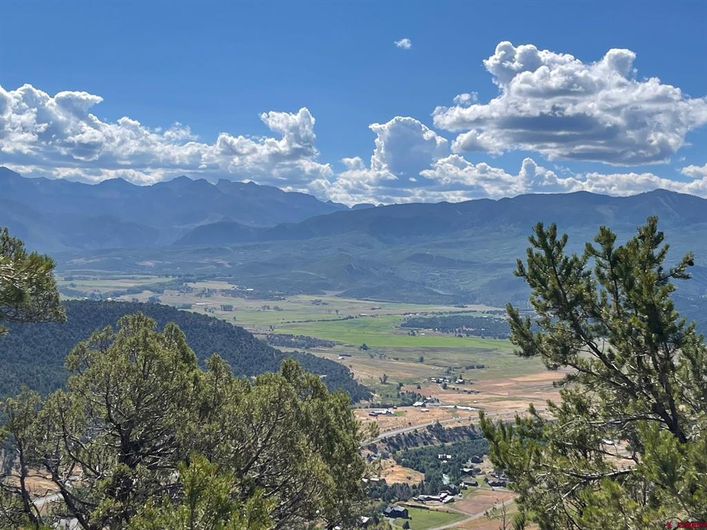 Tbd Pine Drive Ridgway CO 81432
