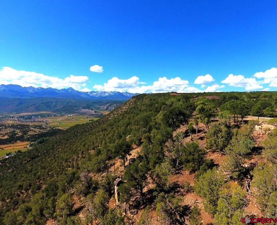Tbd Pine Drive Ridgway CO 81432