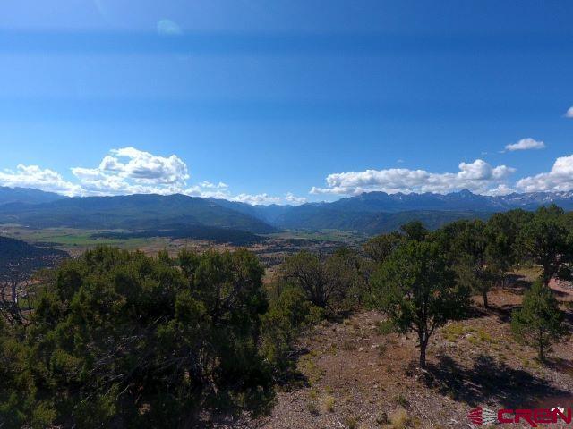 Tbd Pine Drive Ridgway CO 81432