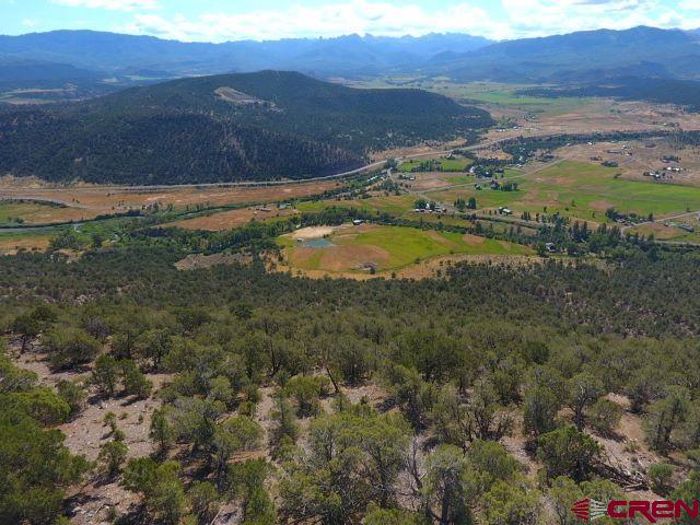 Tbd Pine Drive Ridgway CO 81432