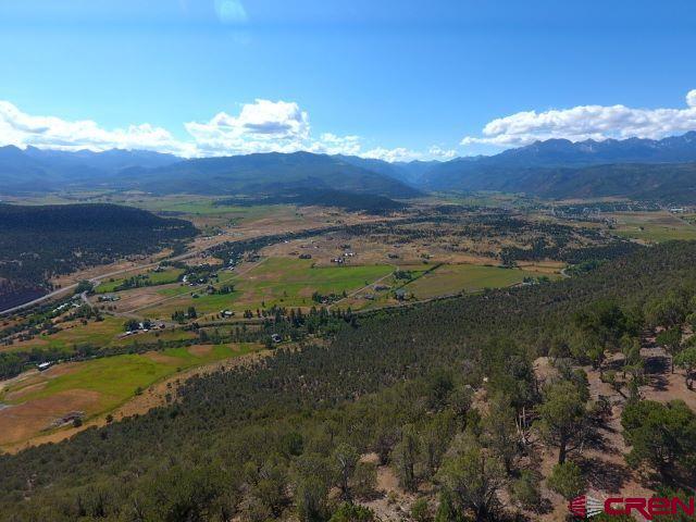 Tbd Pine Drive Ridgway CO 81432