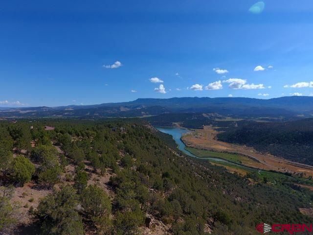 Tbd Pine Drive Ridgway CO 81432