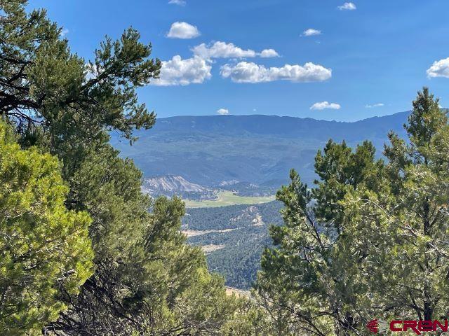 Tbd Pine Drive Ridgway CO 81432