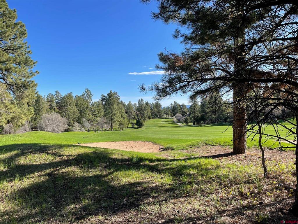 Lot 438 S Badger Trail Ridgway CO 81432
