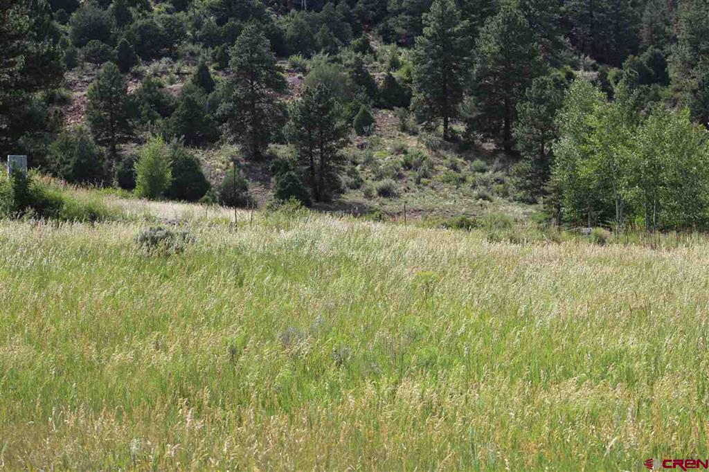 472 Rio Grande Club Trail South Fork CO 81154