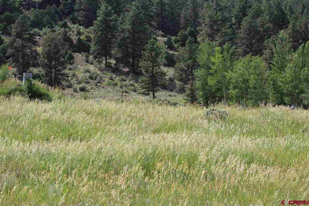 472 Rio Grande Club Trail South Fork CO 81154