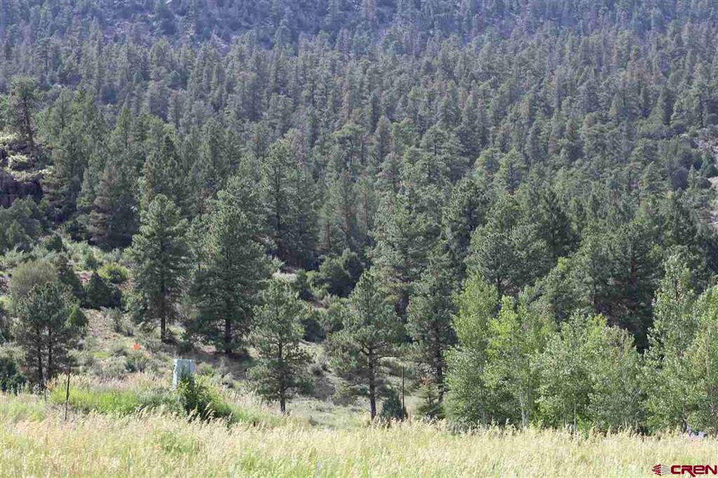 472 Rio Grande Club Trail South Fork CO 81154