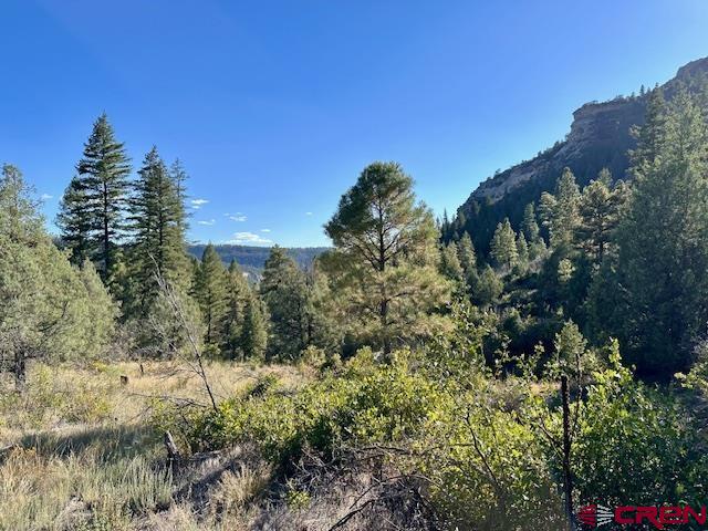 16400 County Road 500 Pagosa Springs CO 81147