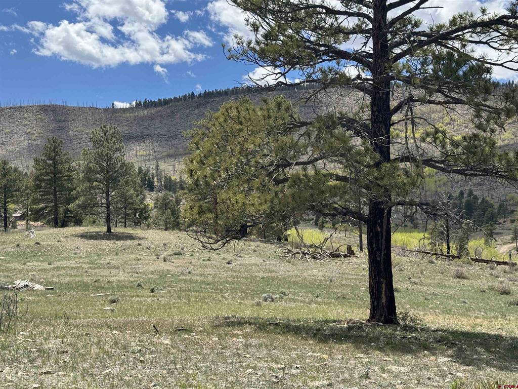 150 Rickel Circle South Fork CO 81154