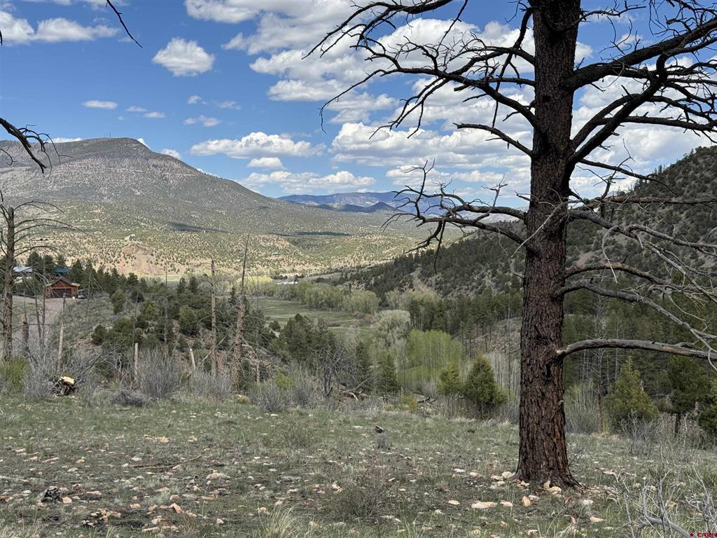 150 Rickel Circle South Fork CO 81154