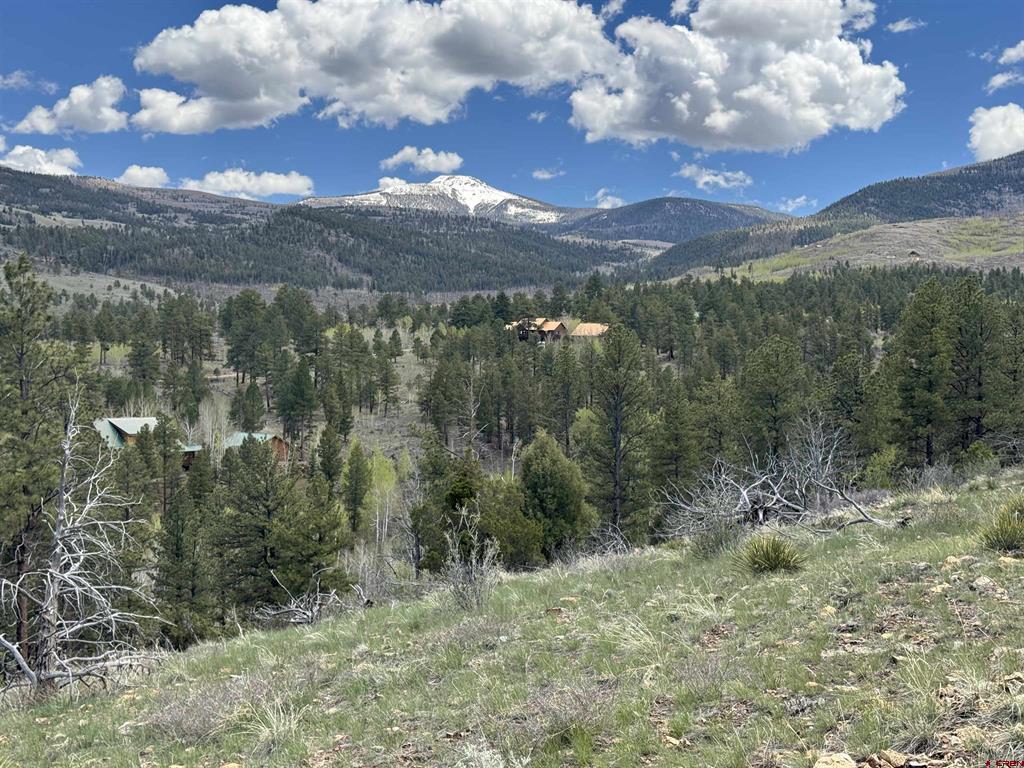 150 Rickel Circle South Fork CO 81154