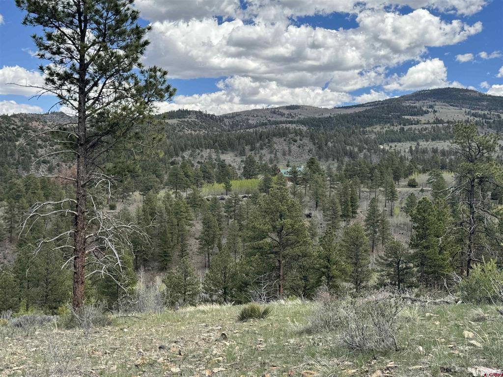 150 Rickel Circle South Fork CO 81154