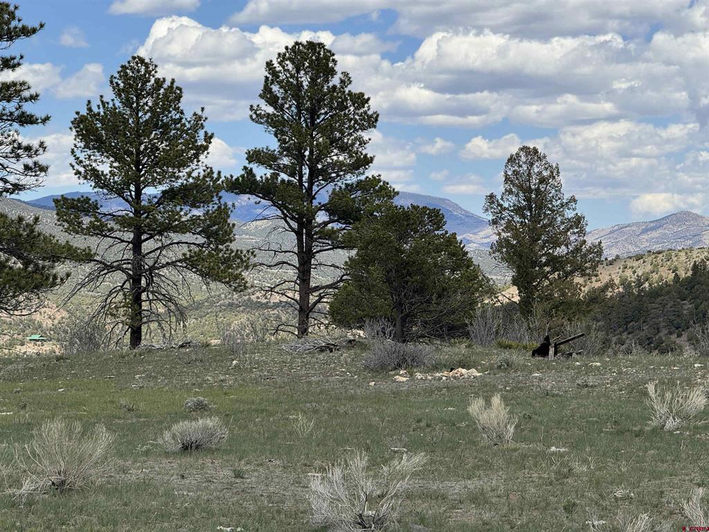 150 Rickel Circle South Fork CO 81154
