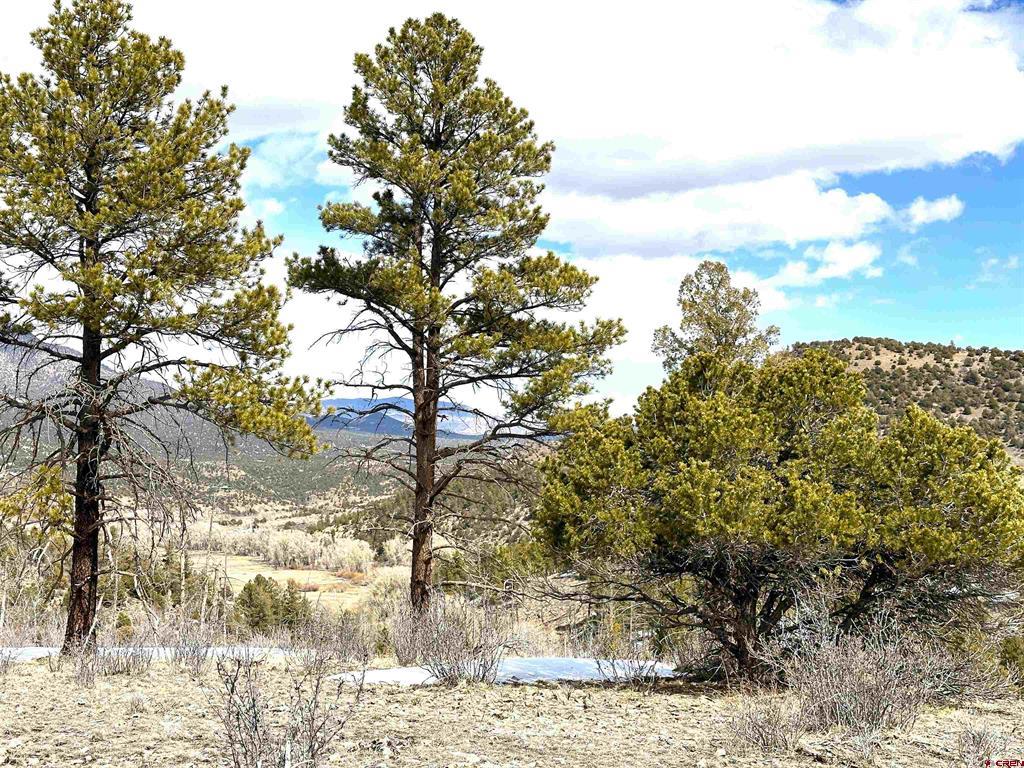 150 Rickel Circle South Fork CO 81154