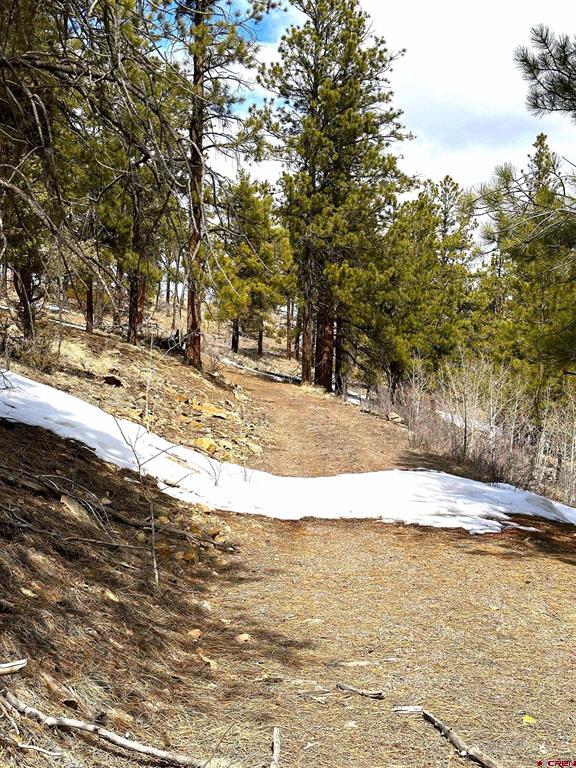 150 Rickel Circle South Fork CO 81154