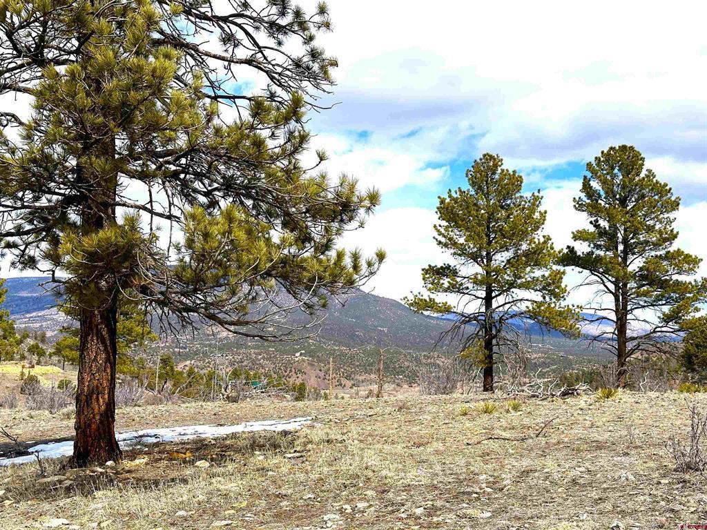 150 Rickel Circle South Fork CO 81154
