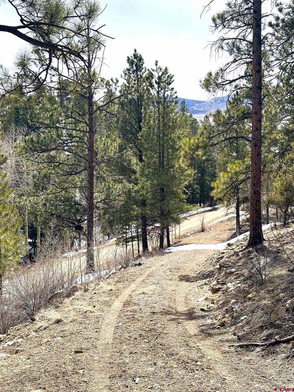 150 Rickel Circle South Fork CO 81154