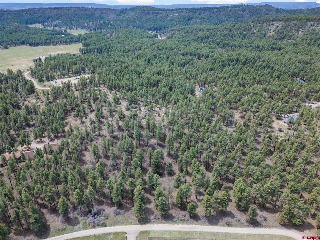 135 Meadow Lane Bayfield CO 81122