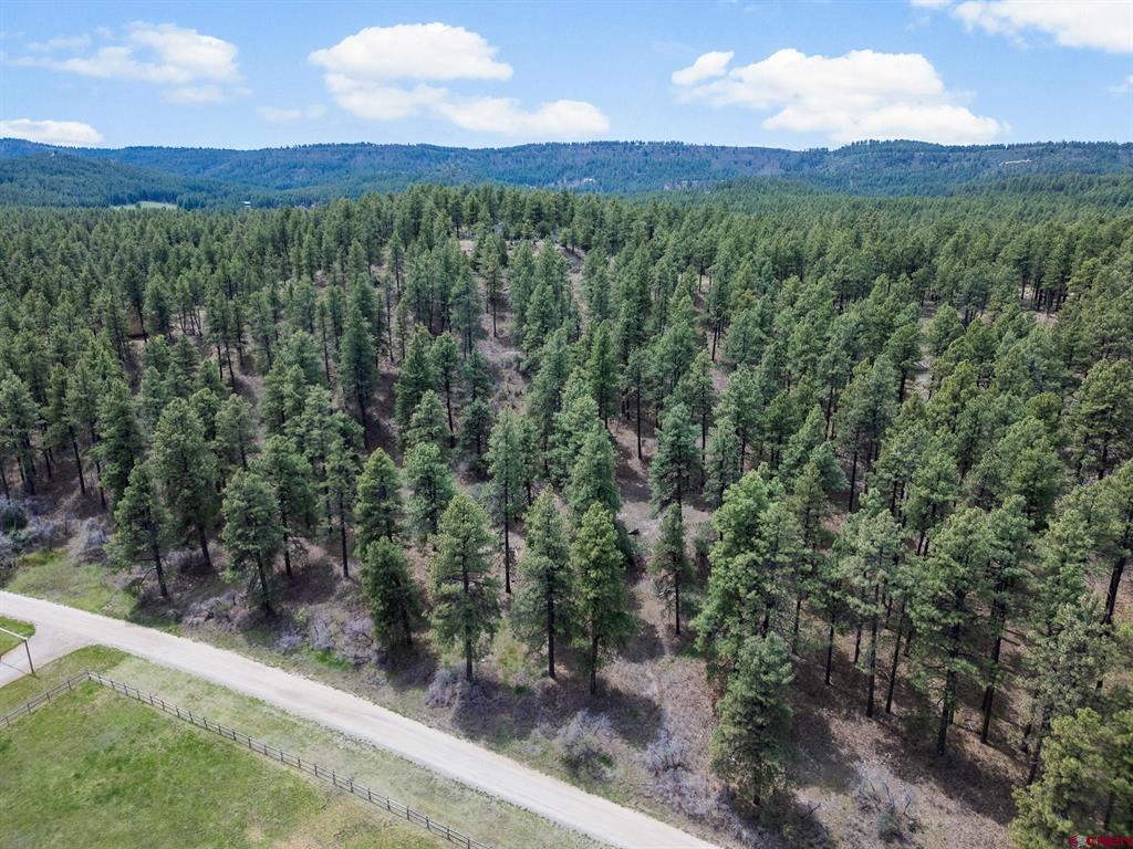135 Meadow Lane Bayfield CO 81122