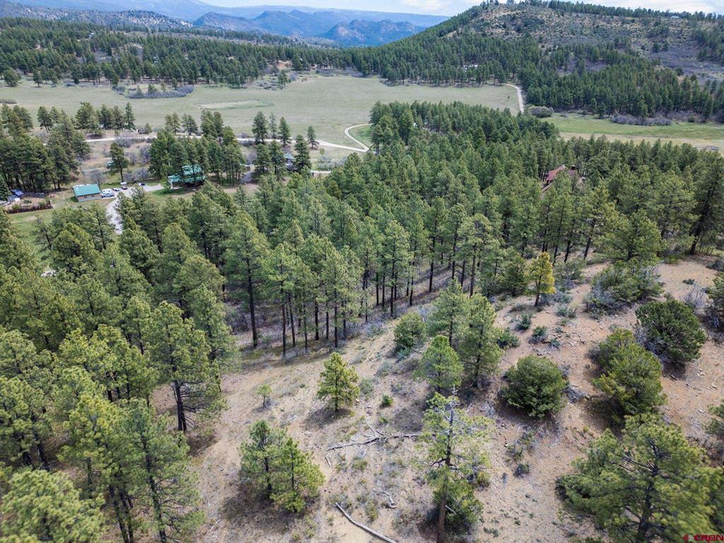 135 Meadow Lane Bayfield CO 81122