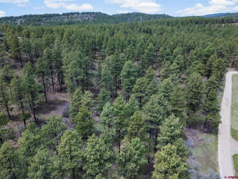 135 Meadow Bayfield CO 81122