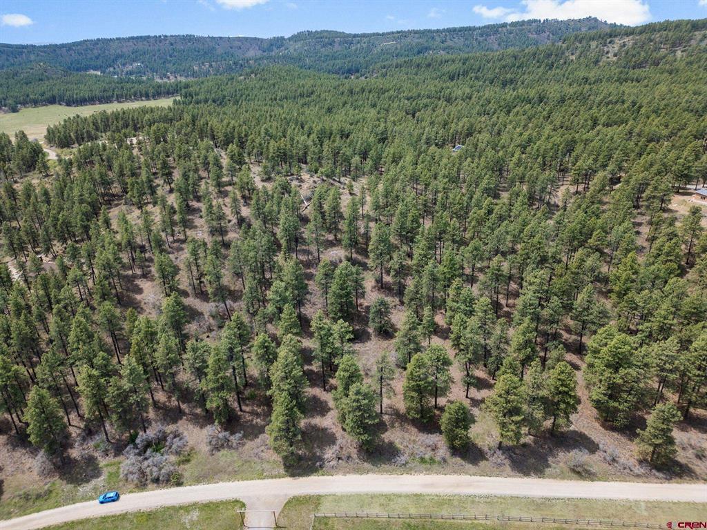 135 Meadow Lane Bayfield CO 81122