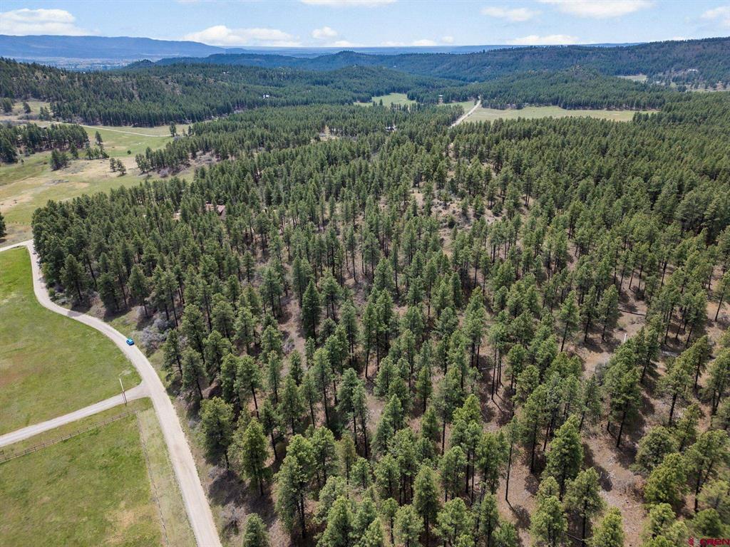 135 Meadow Lane Bayfield CO 81122