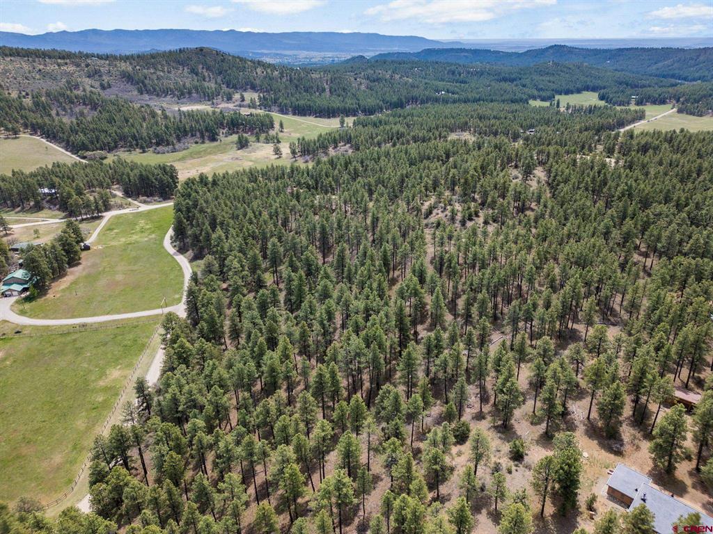 135 Meadow Lane Bayfield CO 81122