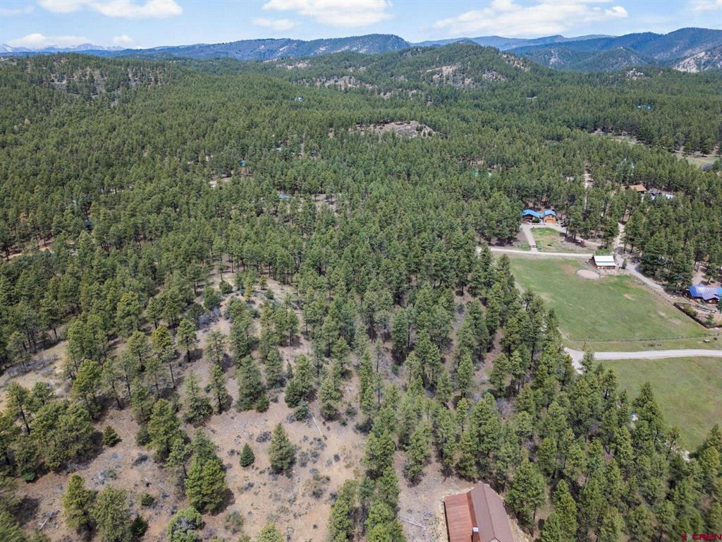 135 Meadow Lane Bayfield CO 81122