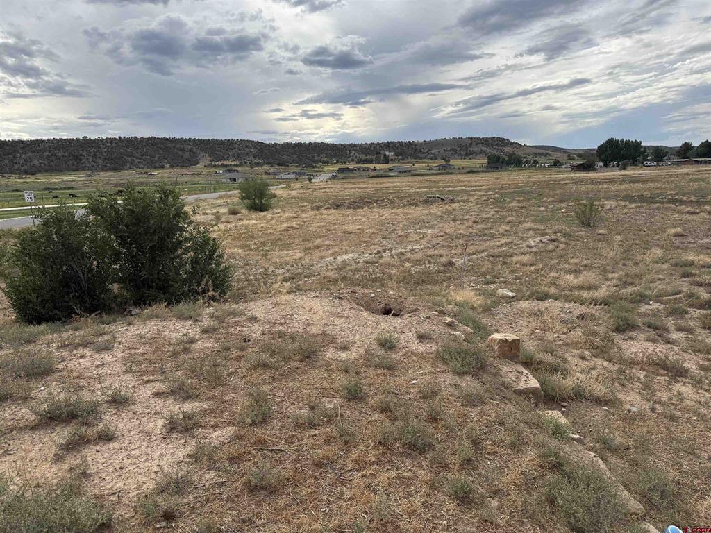 68671 Vernal Road Montrose CO 81403