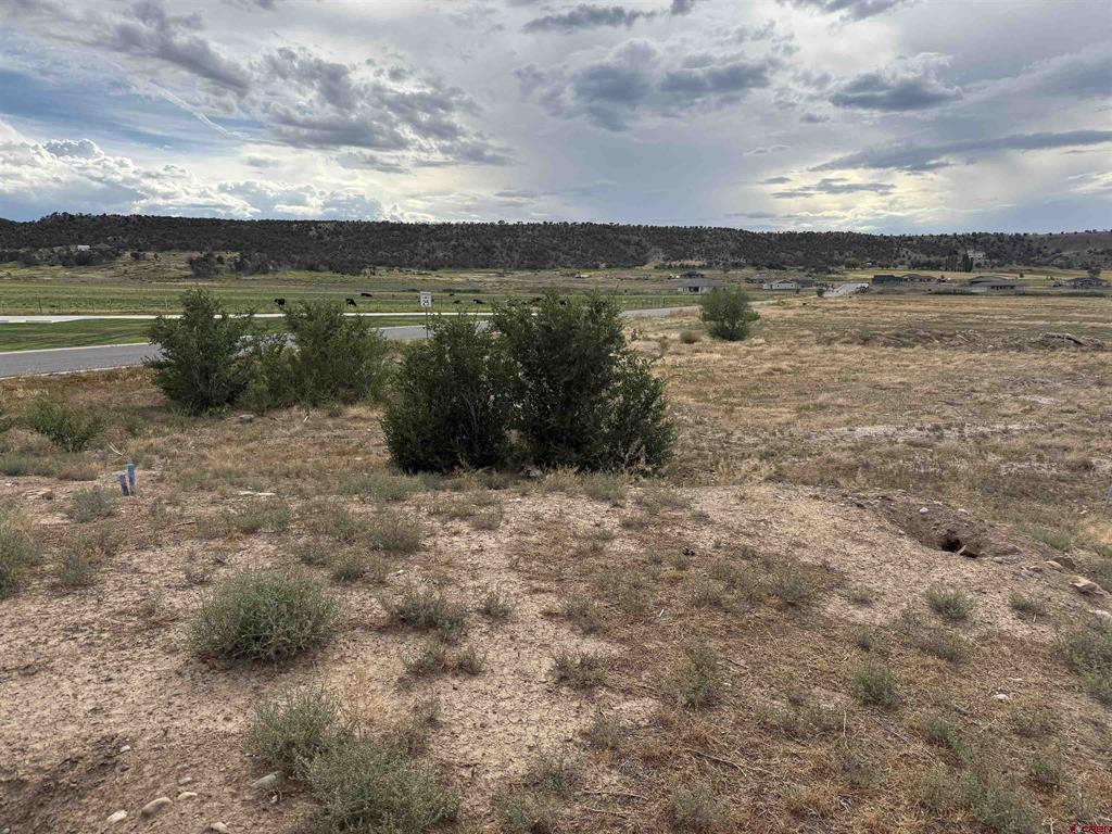 68671 Vernal Road Montrose CO 81403