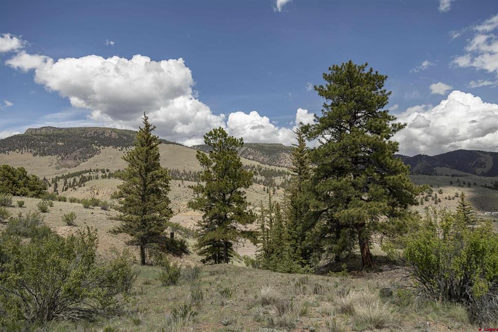 Tbd Hwy 149 (B) Creede CO 81130