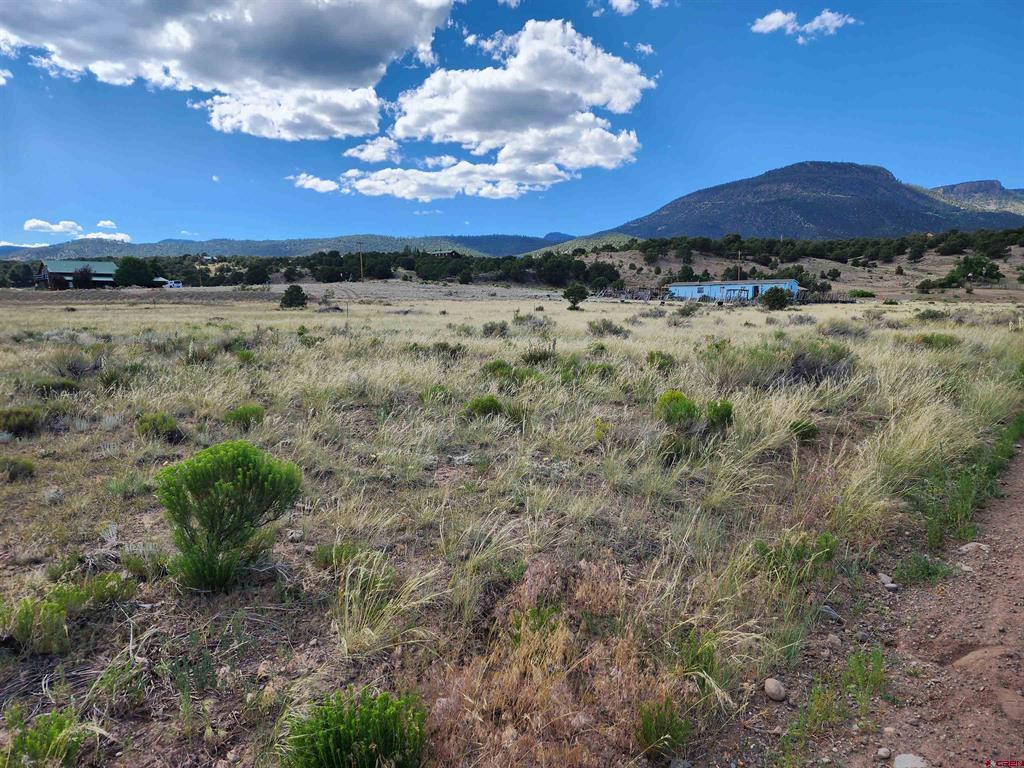 1275 Mohee Road South Fork CO 81154