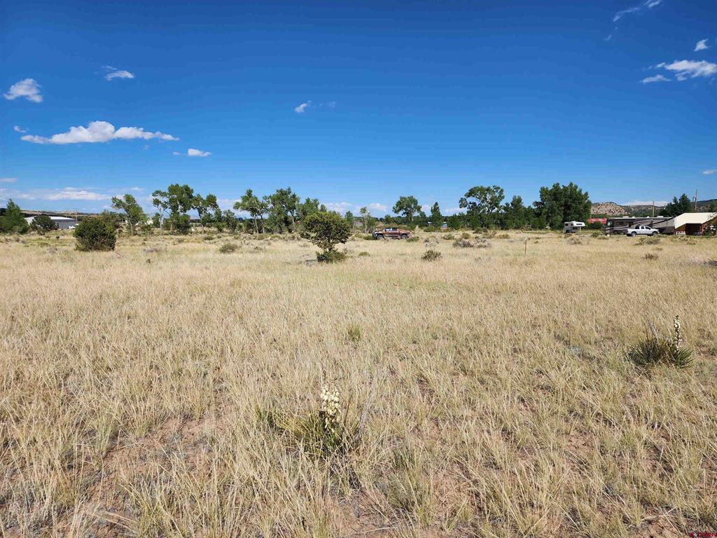 1275 Mohee Road South Fork CO 81154