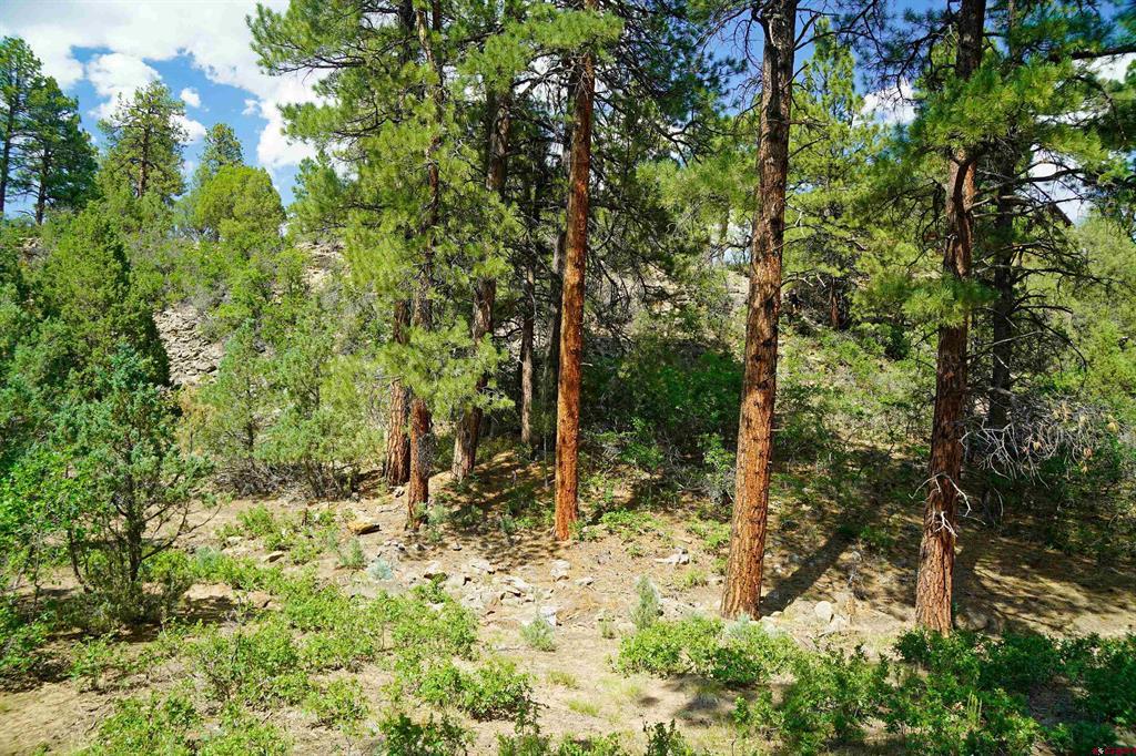 Tbd Hummingbird Trail Ridgway CO 81432