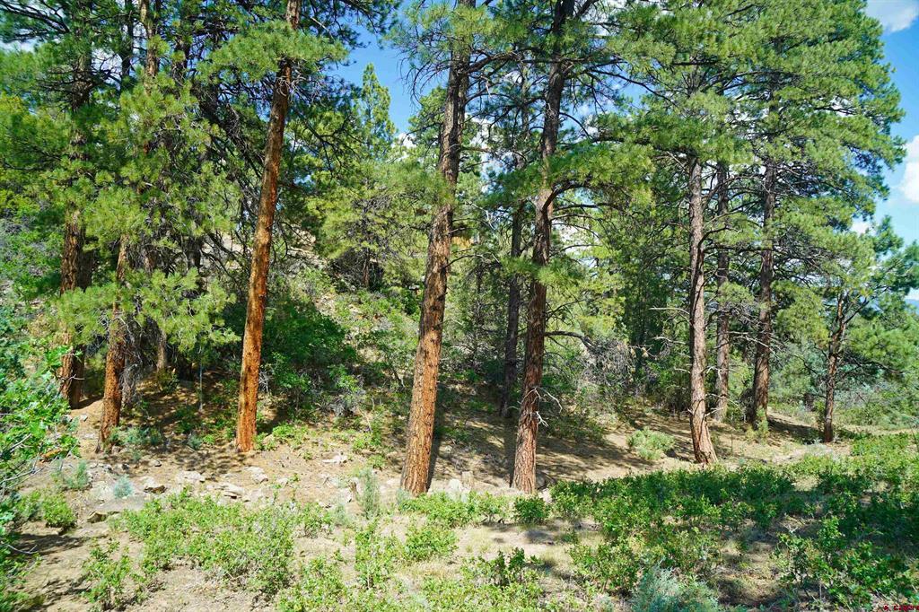 Tbd Hummingbird Trail Ridgway CO 81432