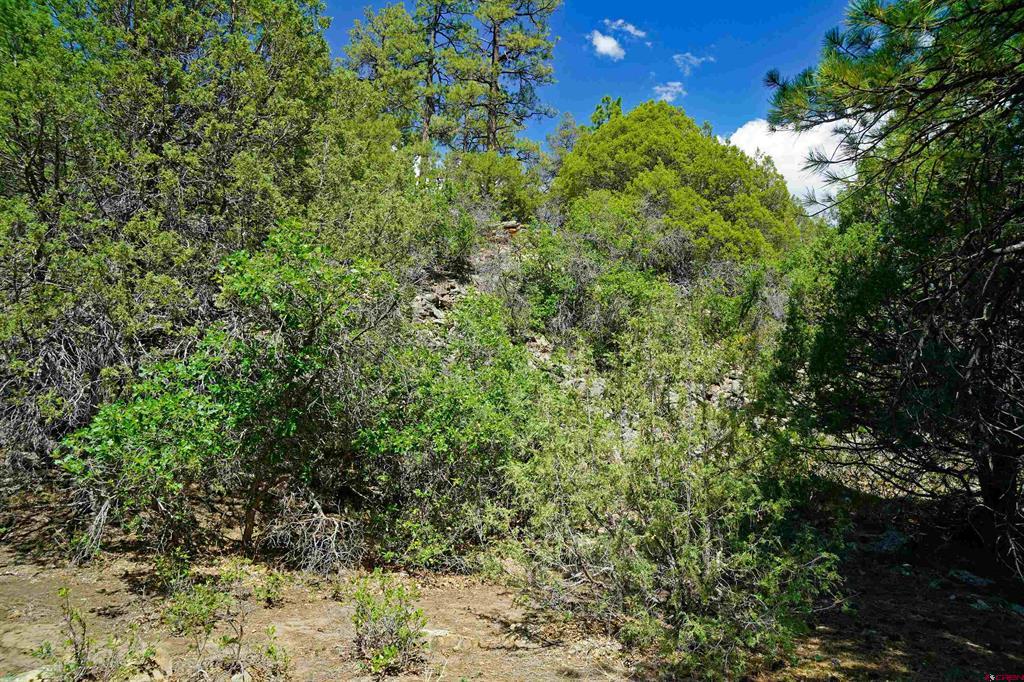 Tbd Hummingbird Trail Ridgway CO 81432