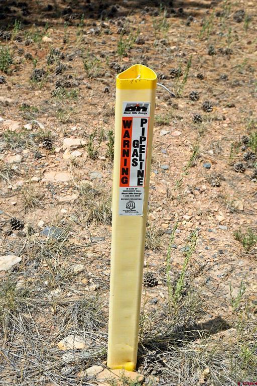 Tbd Hummingbird Trail Ridgway CO 81432