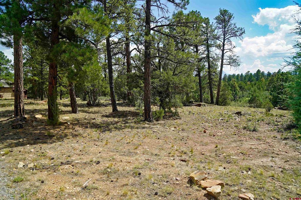 Tbd Hummingbird Trail Ridgway CO 81432