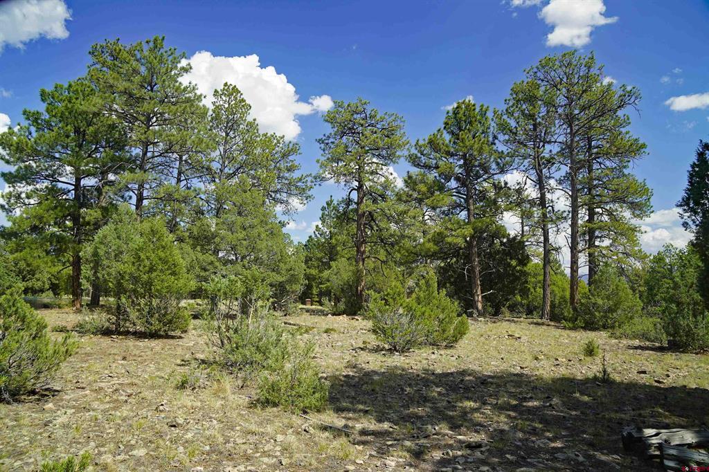 Tbd Hummingbird Trail Ridgway CO 81432