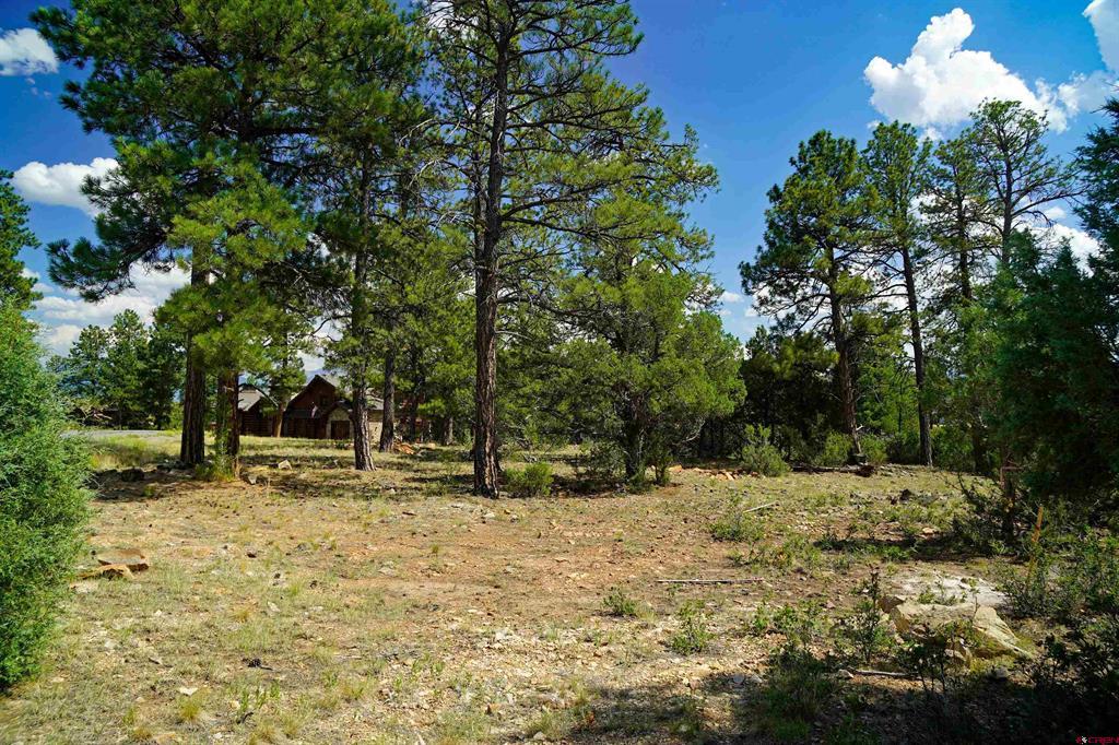 Tbd Hummingbird Trail Ridgway CO 81432