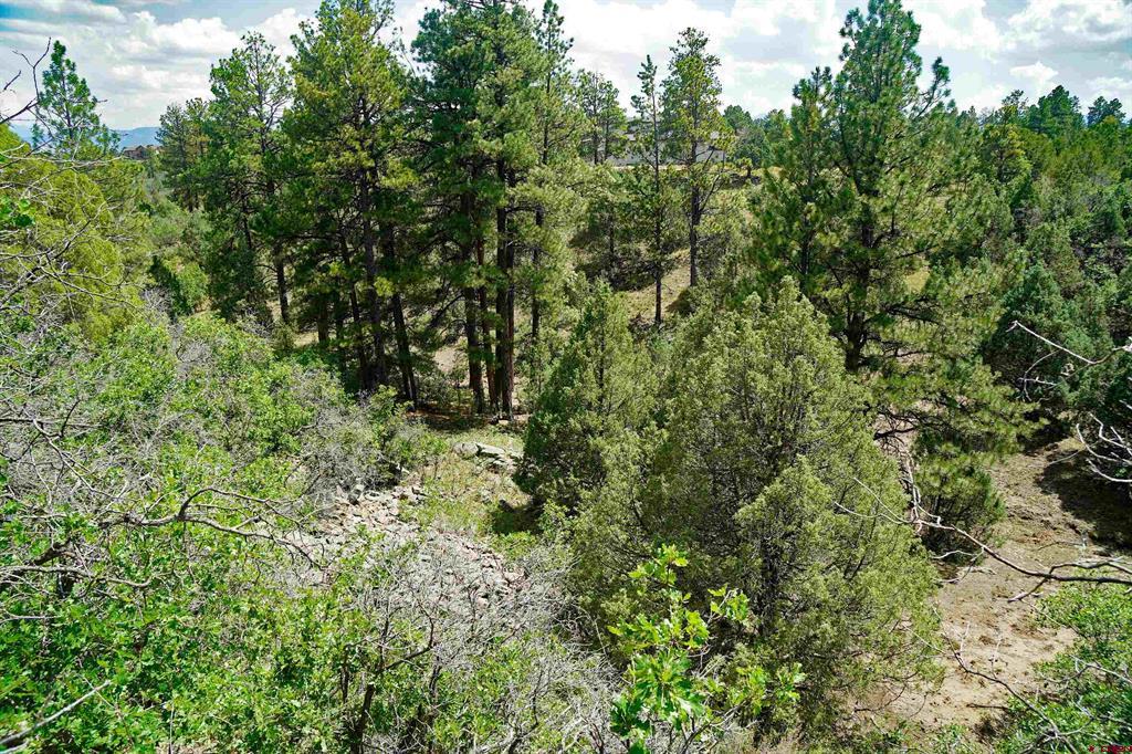Tbd Hummingbird Trail Ridgway CO 81432