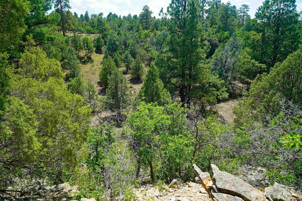 Tbd Hummingbird Trail Ridgway CO 81432