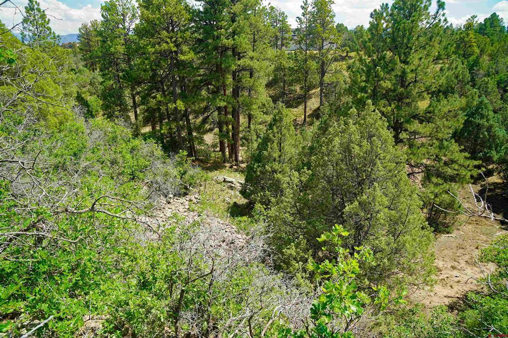 Tbd Hummingbird Trail Ridgway CO 81432