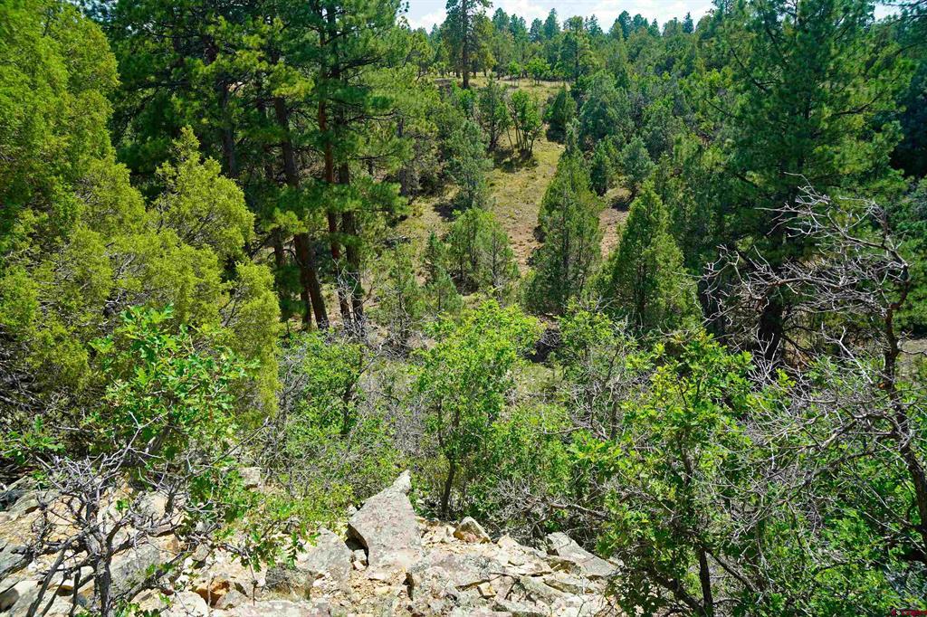 Tbd Hummingbird Trail Ridgway CO 81432